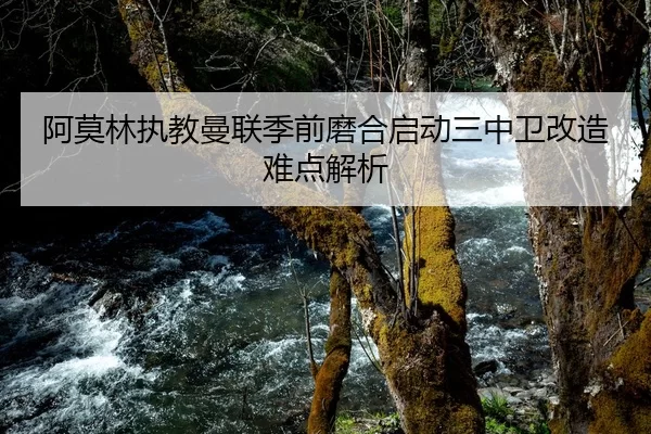 阿莫林执教曼联季前磨合启动三中卫改造难点解析